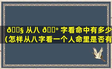 🐧 从八 💮 字看命中有多少财（怎样从八字看一个人命里是否有财）